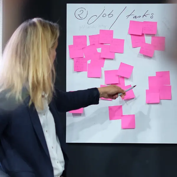 AGILE PROFESSIONAL SUPPORT